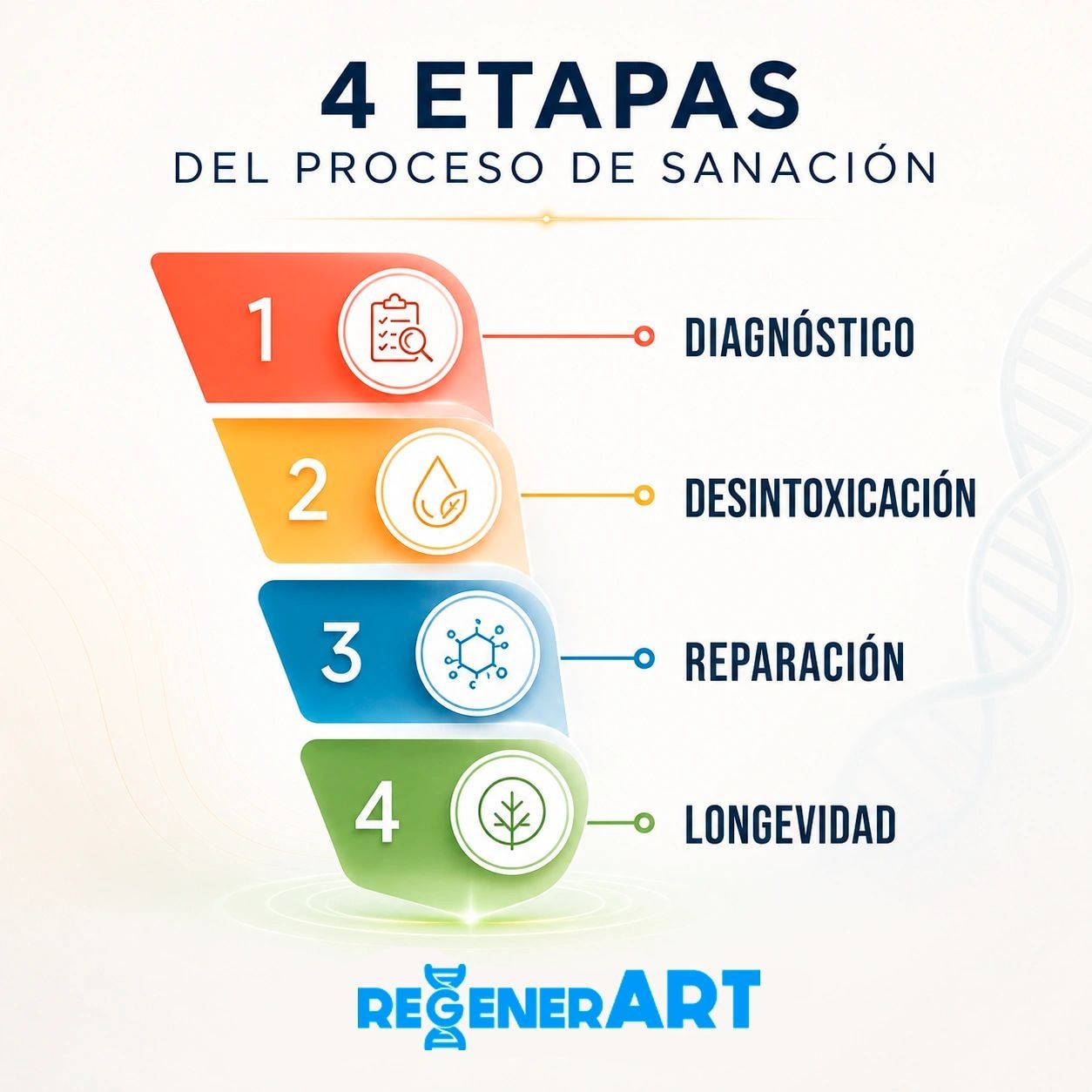 4 Etapas del Proceso de Sanación: Diagnóstico, Desintoxicación, Reparación, Longevidad